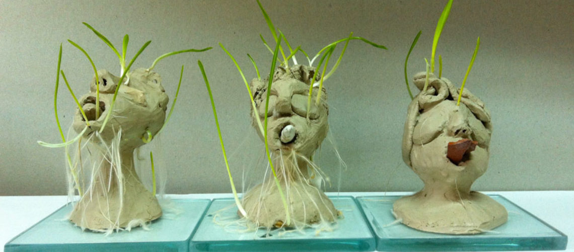 Heads germinated and veins rooted